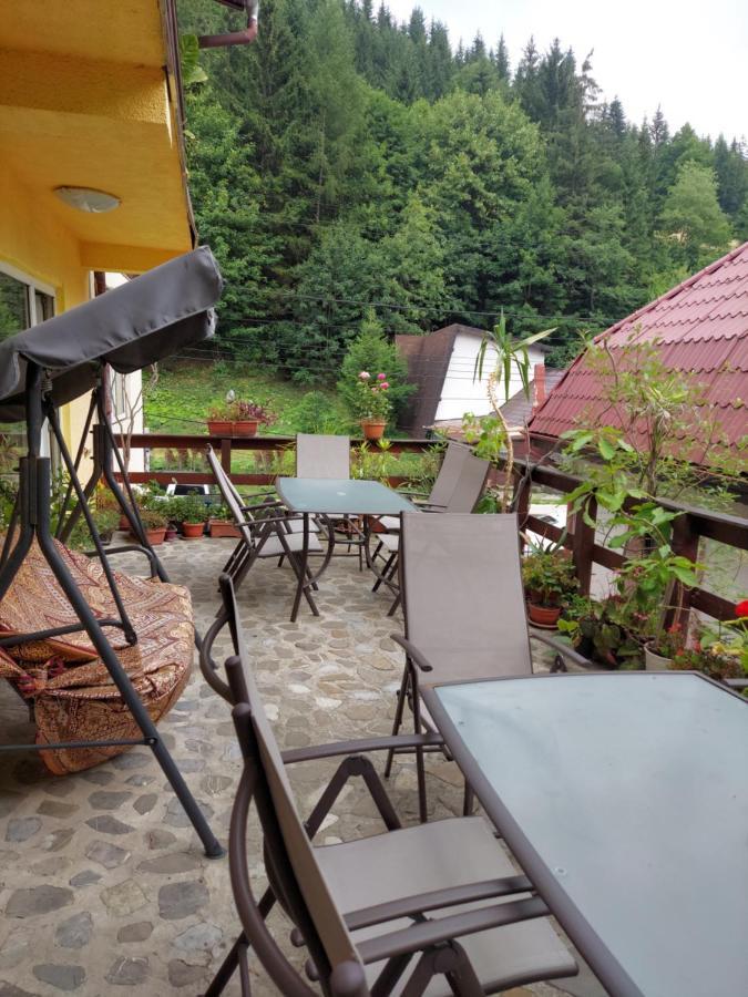 Pensiune Casa Barcaru Azuga Exteriör bild