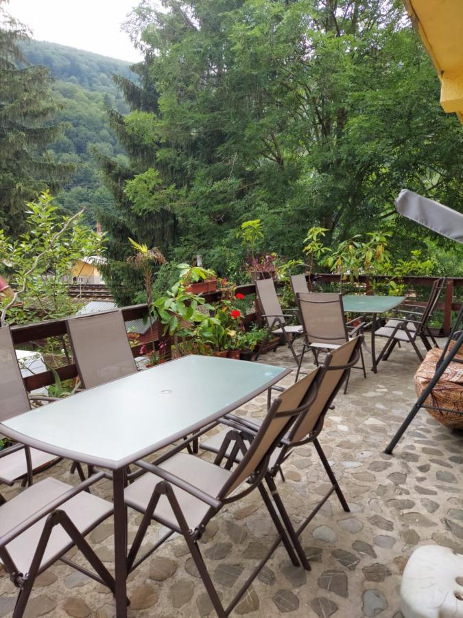 Pensiune Casa Barcaru Azuga Exteriör bild